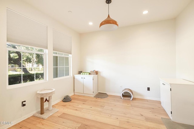 washroom featuring light wood-type flooring