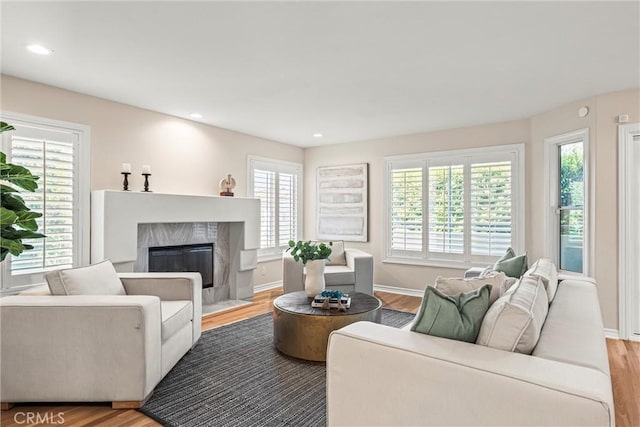 living room featuring light wood-type flooring, a healthy amount of sunlight, and a fireplace