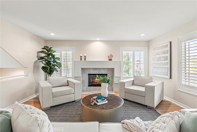 living room with wood-type flooring, a fireplace, and a wealth of natural light