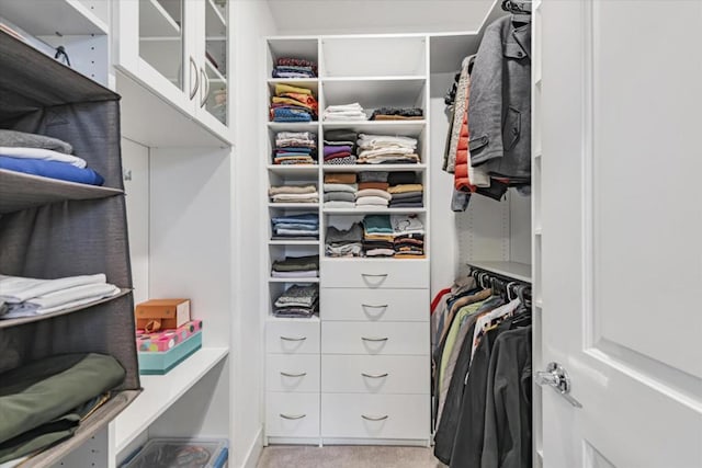 walk in closet with light colored carpet