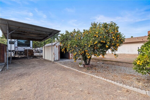 view of yard with a shed and a carport