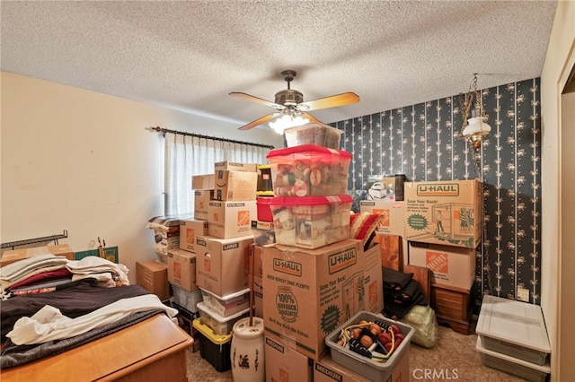 storage with ceiling fan