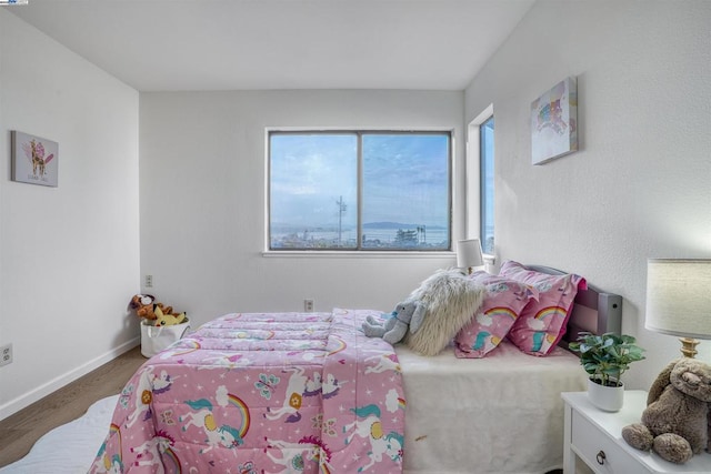 bedroom featuring multiple windows and wood-type flooring