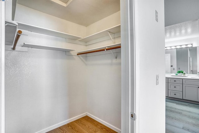 spacious closet with sink and light hardwood / wood-style flooring