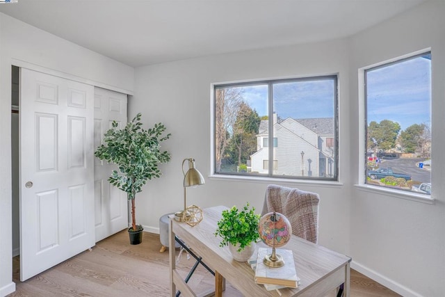 office space with a healthy amount of sunlight and light hardwood / wood-style flooring