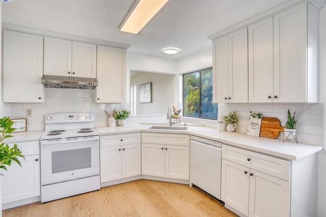 kitchen with light hardwood / wood-style floors, backsplash, white appliances, white cabinets, and sink