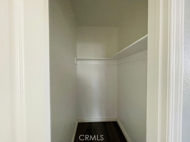 spacious closet featuring wood-type flooring