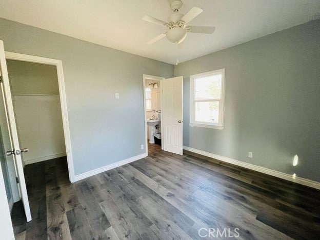 unfurnished bedroom featuring ceiling fan, a walk in closet, a closet, and dark hardwood / wood-style flooring