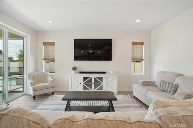 living room with hardwood / wood-style flooring