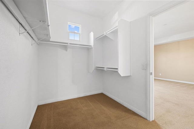 spacious closet with carpet floors