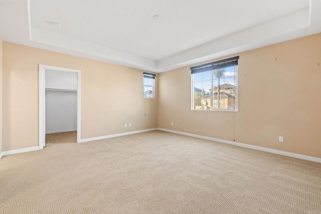 unfurnished bedroom with light carpet, baseboards, a raised ceiling, a spacious closet, and a closet