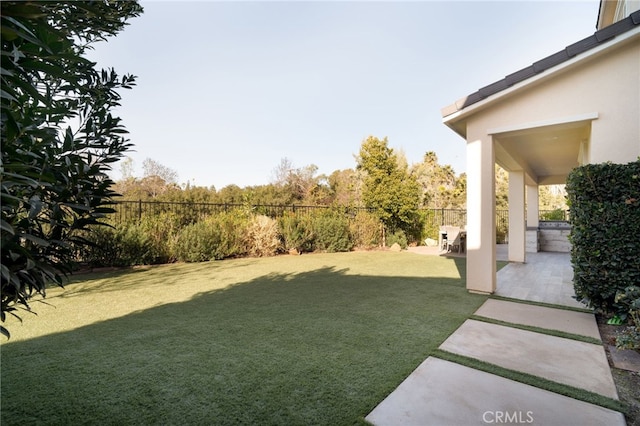 view of yard featuring a patio area