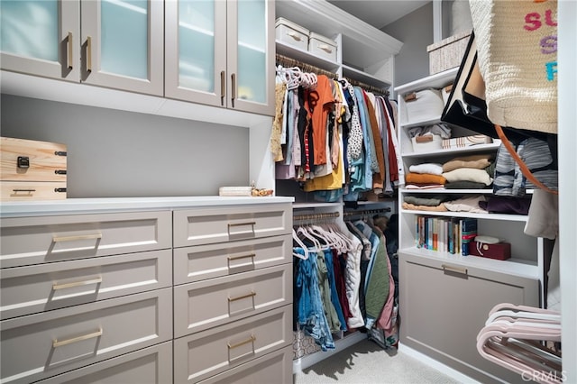 spacious closet featuring light colored carpet