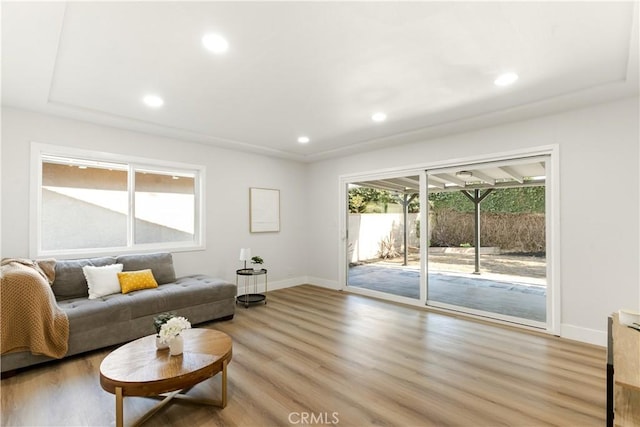 living room with light wood-type flooring