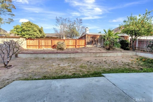 view of yard with a patio