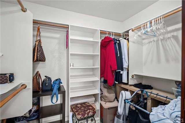 view of walk in closet