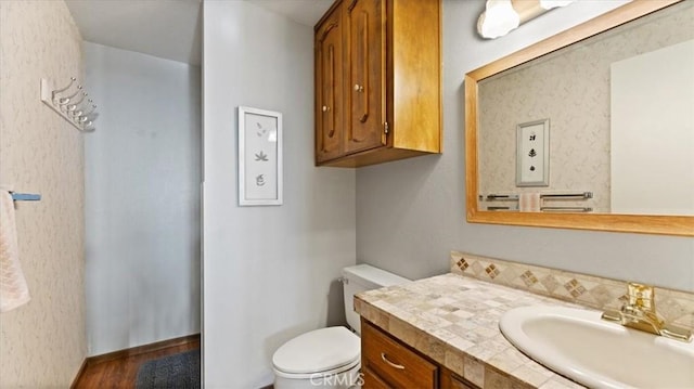 bathroom with toilet and vanity