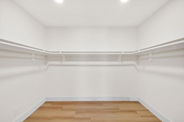 spacious closet featuring wood-type flooring