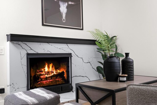 interior details with a high end fireplace