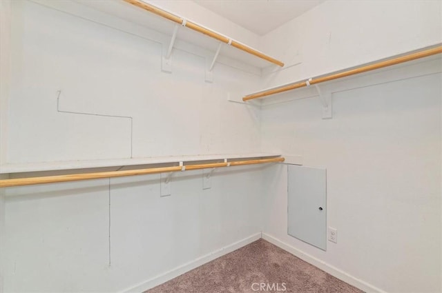 spacious closet featuring light colored carpet