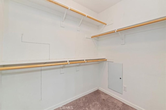 spacious closet with carpet floors