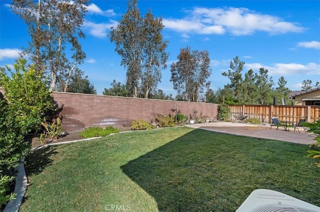 view of yard with a patio area and a fenced backyard