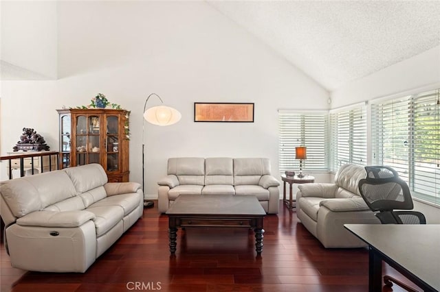 living room with high vaulted ceiling, dark hardwood / wood-style flooring, and a textured ceiling