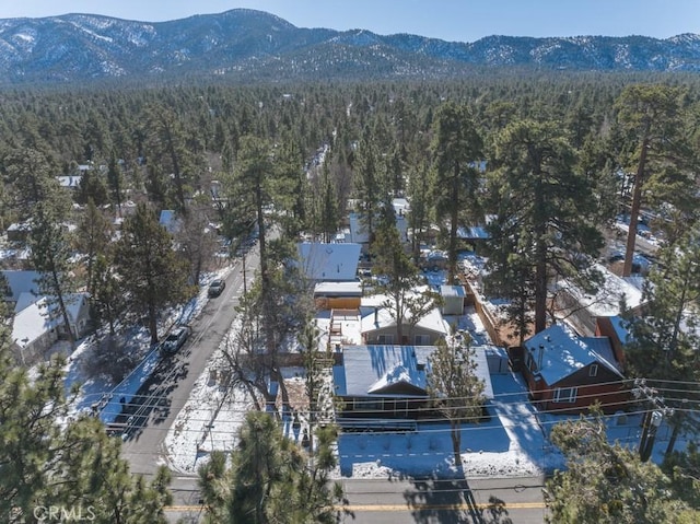 bird's eye view with a mountain view