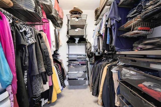 walk in closet with carpet flooring