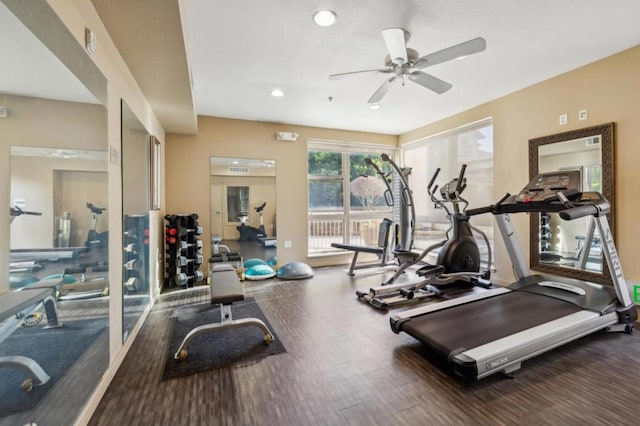 exercise room with wood-type flooring and ceiling fan