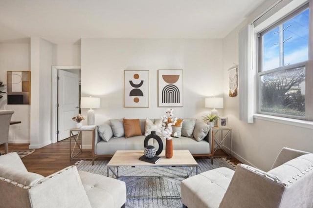 living room with dark wood-type flooring