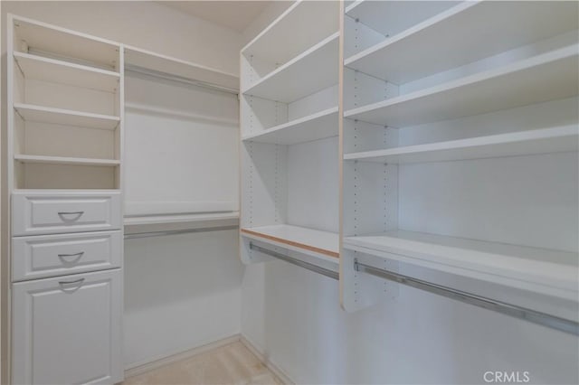 view of walk in closet