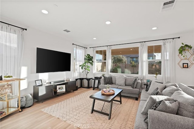 living room with light hardwood / wood-style floors and a healthy amount of sunlight