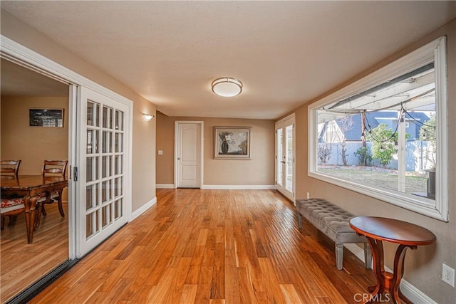 interior space featuring a wealth of natural light and light hardwood / wood-style flooring