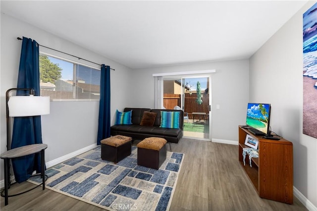 living room with hardwood / wood-style floors