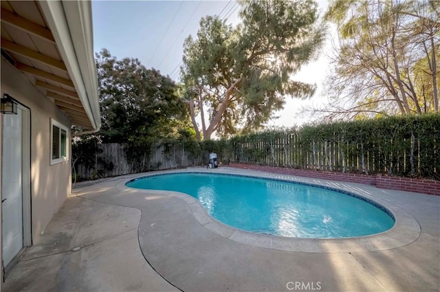 view of pool with a patio area