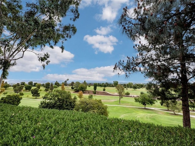 view of property's community featuring a lawn