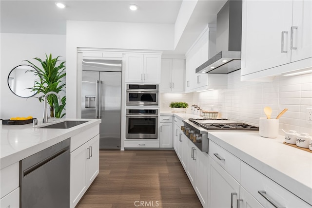 kitchen with sink, white cabinetry, wall chimney exhaust hood, and stainless steel appliances