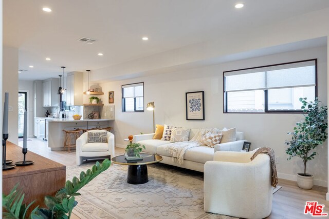 living room featuring light wood-type flooring