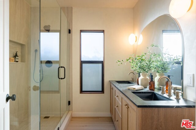 bathroom with vanity, a shower with door, and a wealth of natural light