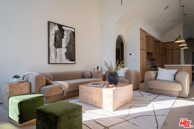 living room featuring high vaulted ceiling