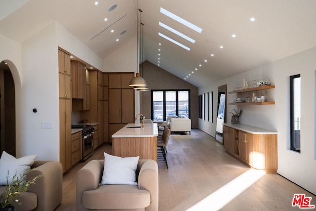 kitchen featuring a skylight, a kitchen island with sink, high end range, light hardwood / wood-style flooring, and sink