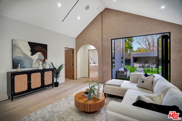 living room featuring high vaulted ceiling and light hardwood / wood-style flooring