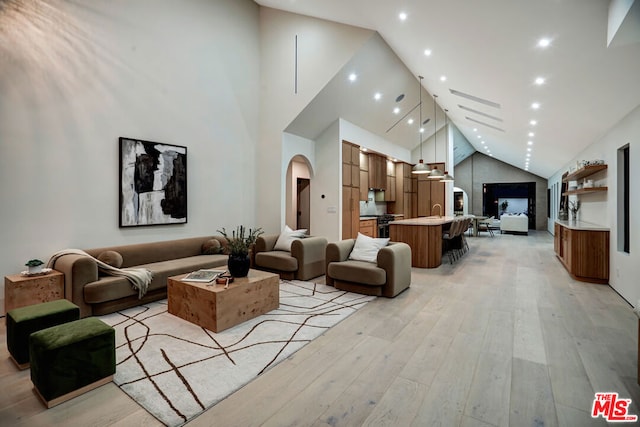 living room featuring light wood-type flooring and high vaulted ceiling