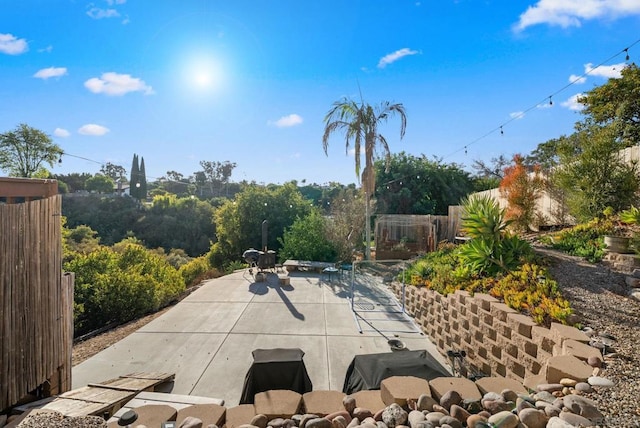 view of patio / terrace with a grill