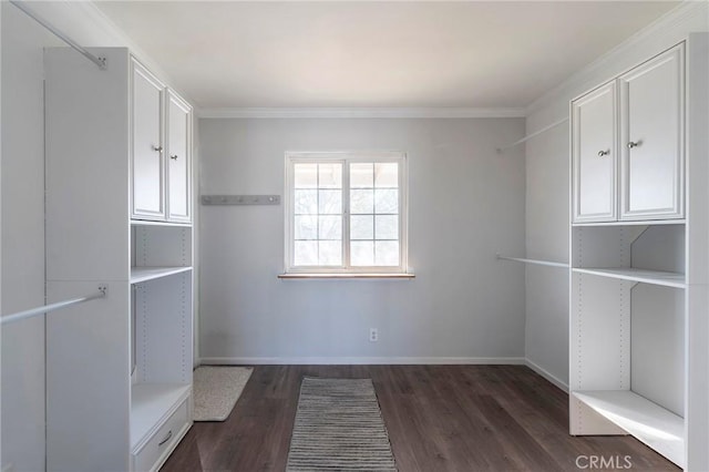 walk in closet featuring dark hardwood / wood-style floors