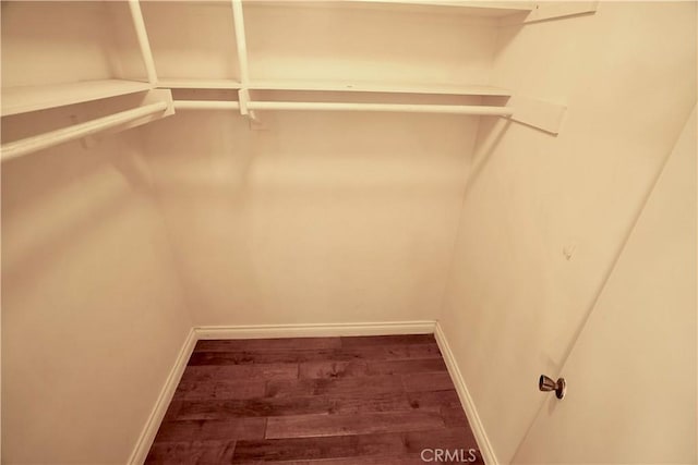 spacious closet featuring hardwood / wood-style floors