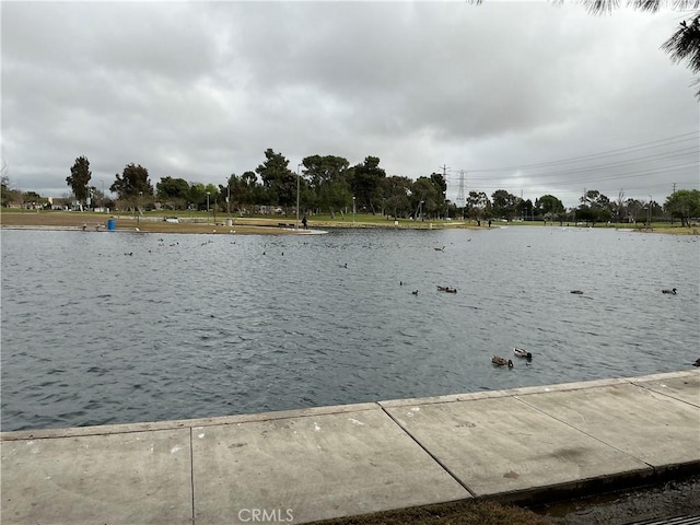 view of dock with a water view