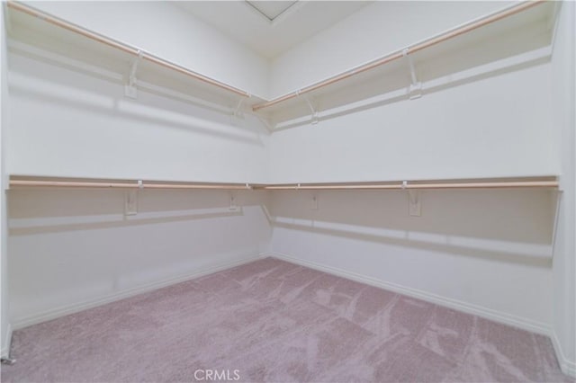 walk in closet with light colored carpet