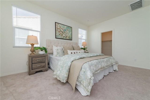 carpeted bedroom with a spacious closet and a closet